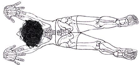 Анатомия йоги - _188.jpg