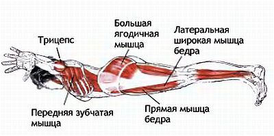 Анатомия йоги - _192.jpg