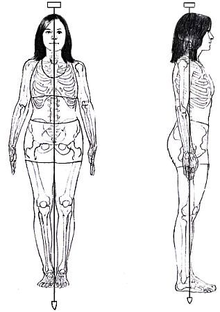 Анатомия йоги - _40.jpg