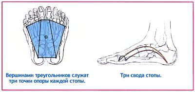 Анатомия йоги - _42.jpg