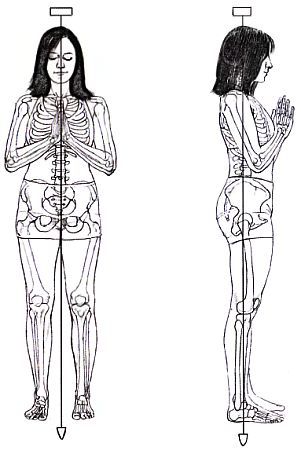 Анатомия йоги - _46.jpg