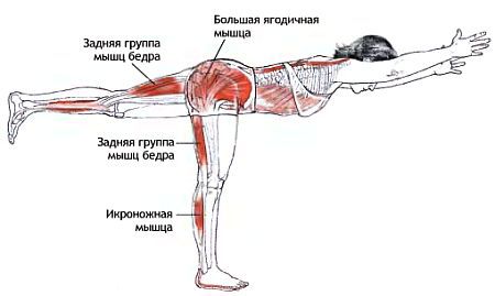 Анатомия йоги - _59.jpg_0