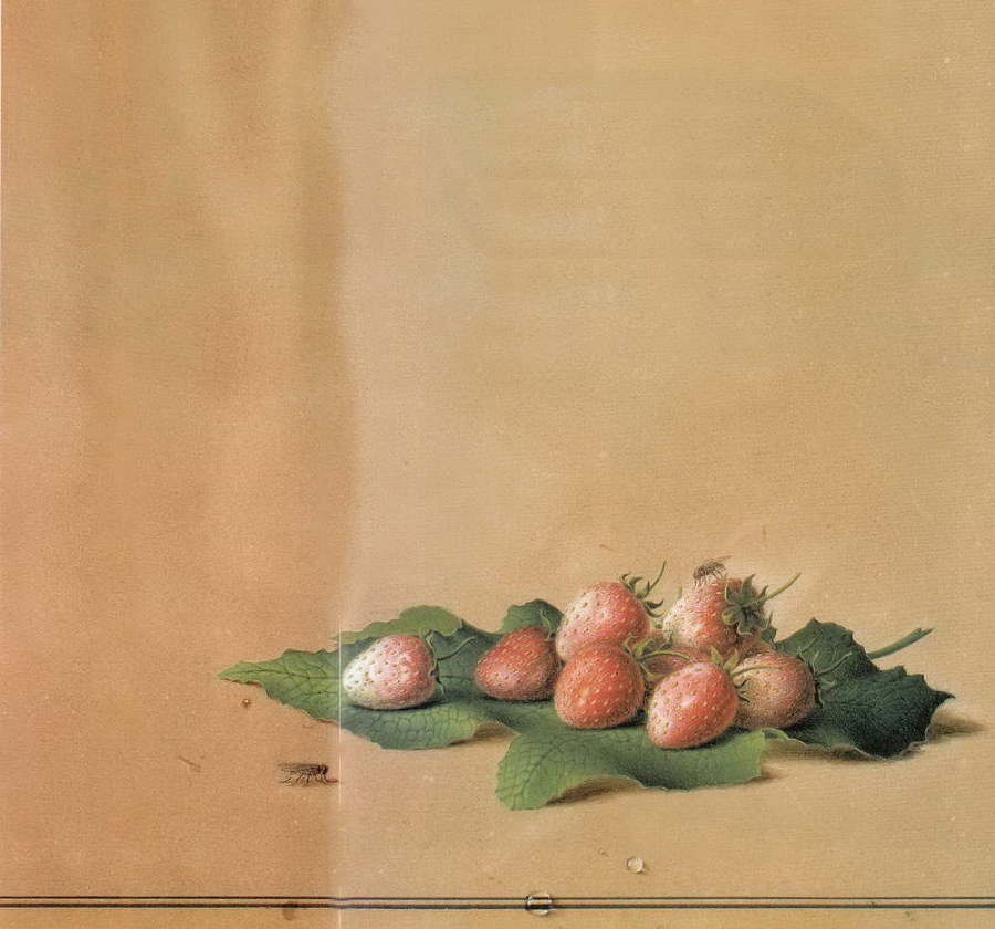 Федор Толстой - img_1.jpg_0