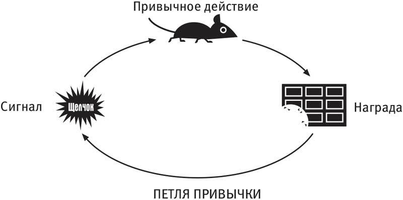 Власть привычки. Почему мы живем и работаем именно так, а не иначе - i_005.jpg