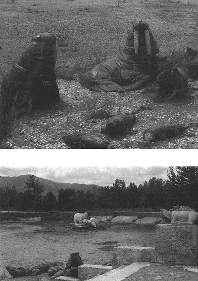 Записки кочевников - _62.jpg