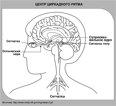 Детский сон. Простые решения для родителей - i_004.png