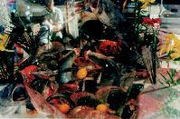 Последний окножираф - _139.jpg