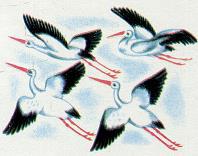 Последний окножираф - _130.jpg