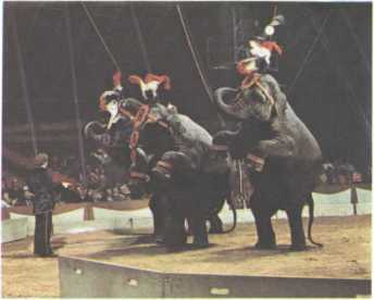 История мирового цирка - i_060.jpg