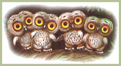 100 любимых стихов малышей - i_014.jpg