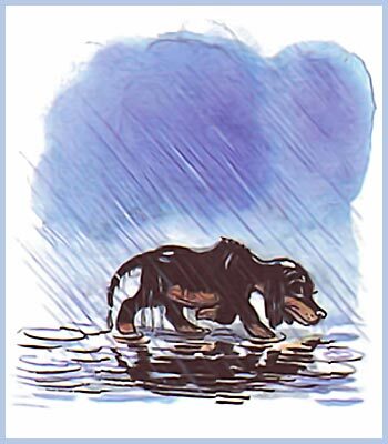 100 любимых стихов малышей - i_104.jpg