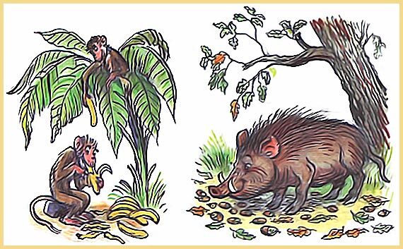 100 любимых стихов малышей - i_116.jpg