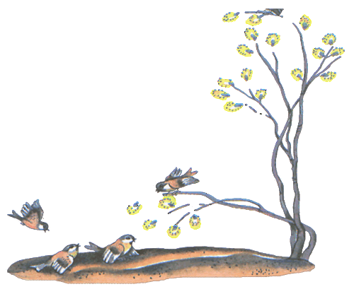 100 любимых стихов малышей - i_157.png