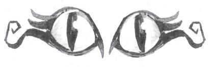 Пойдем ловить чудовище! - i_017.jpg