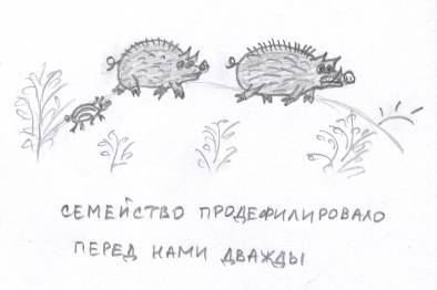 Прикольные случаи из моей практики / Стремные случаи из моей практики - _79.jpg
