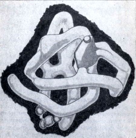 Три тайны жизни - i_011.jpg