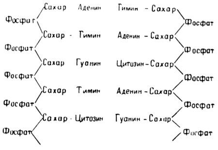 Три тайны жизни - i_013.jpg