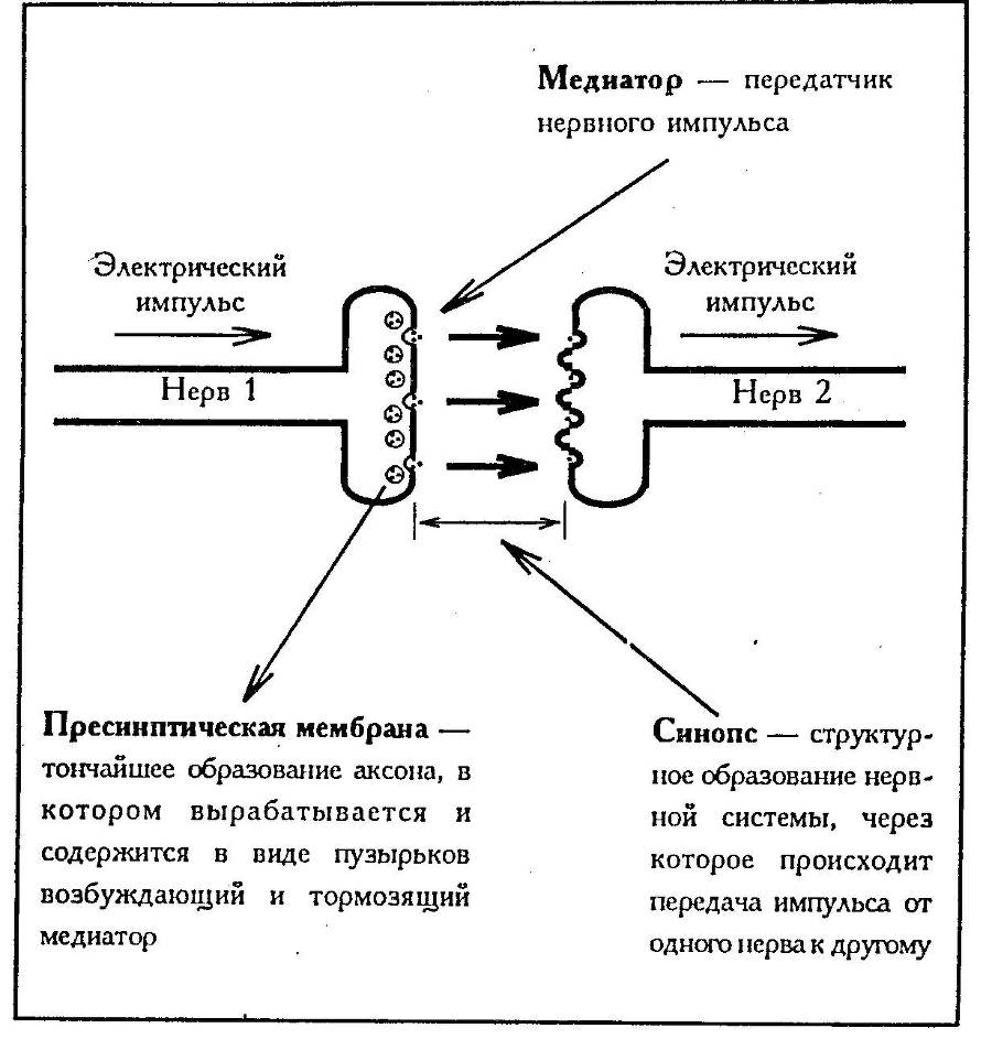 Хорошее самочувствие. Новая терапия настроений - _19.jpg