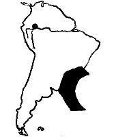 Рыбы поют в Укаяли - i_024.png