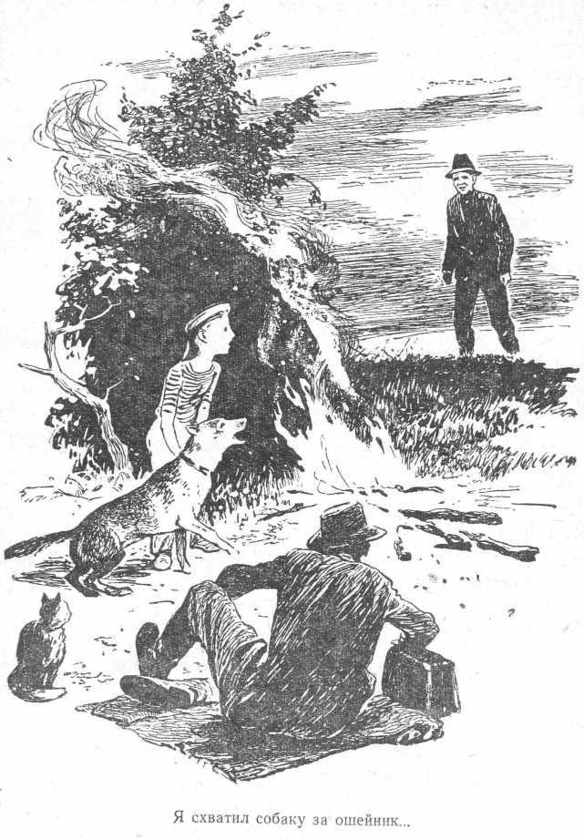 Двадцать дней на борту корабля "Очарование" - _16.jpg