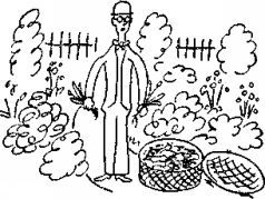 Год садовода - pic_39.jpg