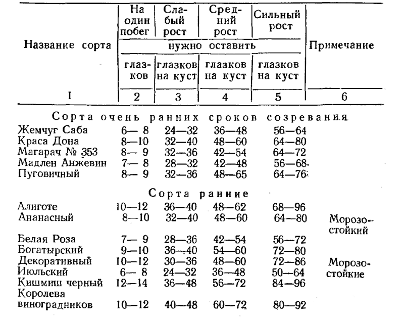 300 советов виноградарю-любителю - i_026.png