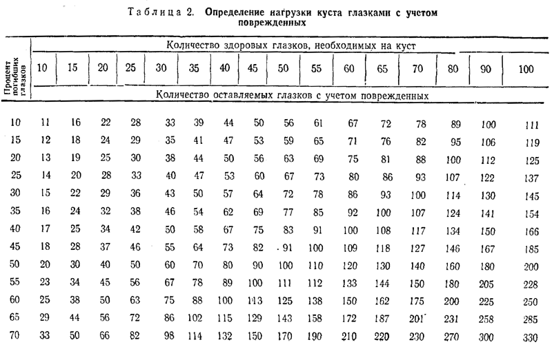 300 советов виноградарю-любителю - i_028.png