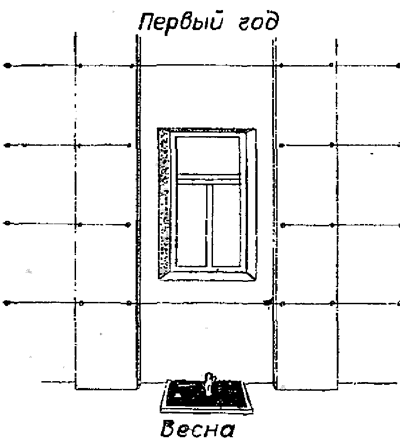 300 советов виноградарю-любителю - i_035.png