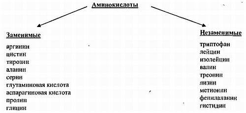 Химический состав продуктов. Пищевая ценность - _01.jpg