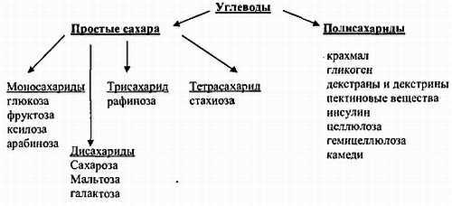 Химический состав продуктов. Пищевая ценность - _72.jpg