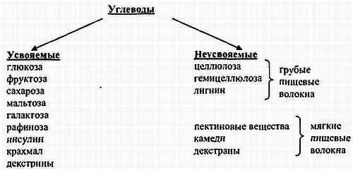 Химический состав продуктов. Пищевая ценность - _73.jpg