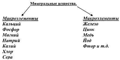 Химический состав продуктов. Пищевая ценность - _273.jpg