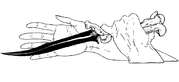 Сказки сироты. В ночном саду - i_003.jpg