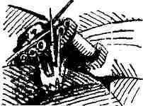 Расскажи мне про Данко - img_17.jpeg