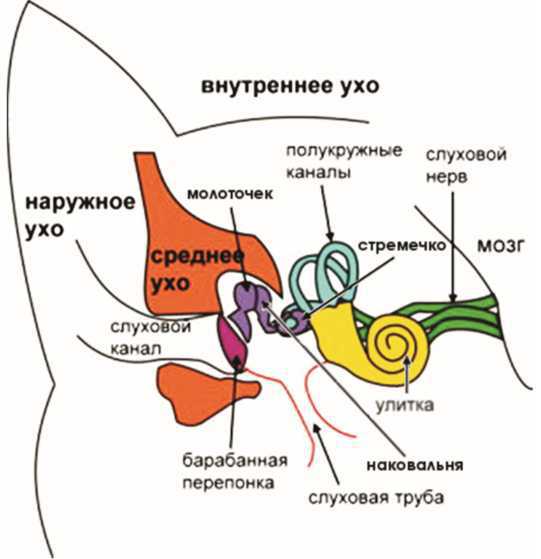 Создатель и его окрестности (СИ) - i_030.jpg