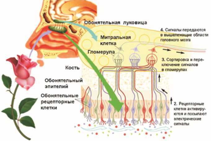 Создатель и его окрестности (СИ) - i_032.jpg