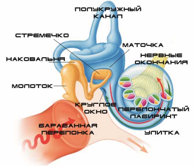 Создатель и его окрестности (СИ) - i_033.jpg