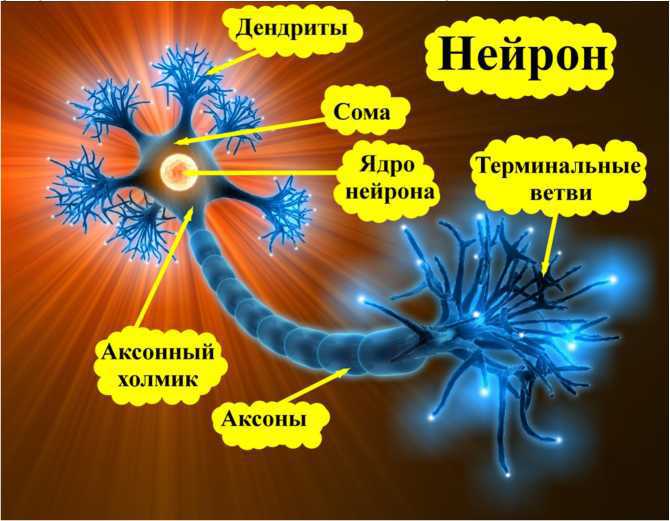 Создатель и его окрестности (СИ) - i_034.jpg