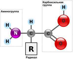 Создатель и его окрестности (СИ) - i_036.jpg