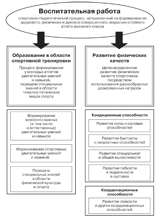 Подготовка юного тяжелоатлета - dvorkin_084.png