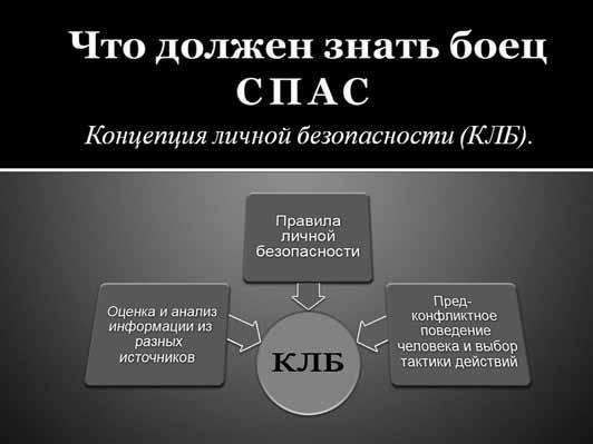 Книга СПАС. Твоя жизнь – в твоем желании жить, или Как жить безопасно - _2.jpg