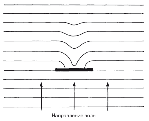 В поисках кота Шредингера. Квантовая физика и реальность - i_004.png