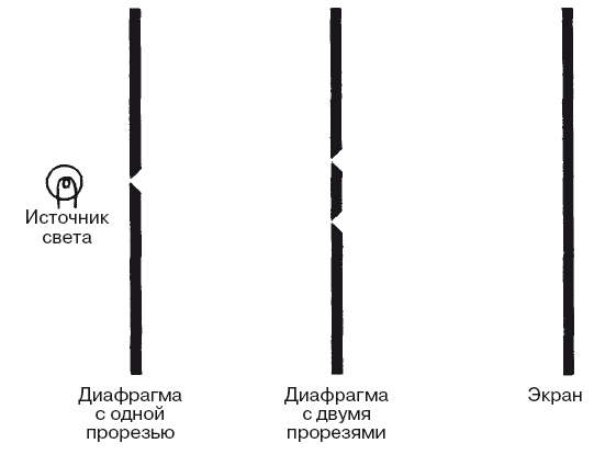 В поисках кота Шредингера. Квантовая физика и реальность - i_005.png