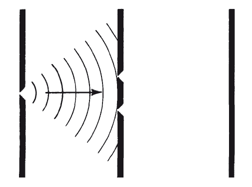 В поисках кота Шредингера. Квантовая физика и реальность - i_006.png