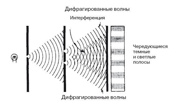 В поисках кота Шредингера. Квантовая физика и реальность - i_007.png