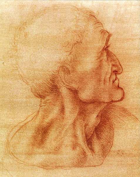 Леонардо да Винчи (1452-1519) - i_006.jpg