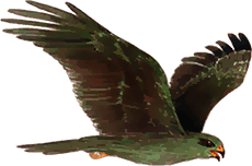 Приключения Кота в сапогах и шляпе (сборник) - i_007.png