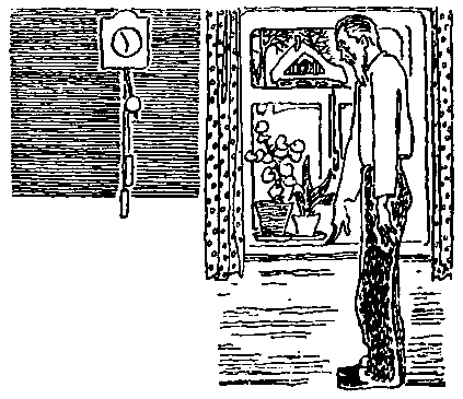 Антон и Зяблик - pic_15.png