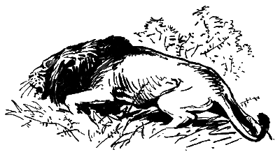 На суше и на море. 1962. Выпуск 3 - i_116.png