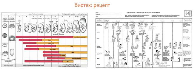 Стартап. Стэнфорд, весна 2012 г. (ЛП) - _98.jpg